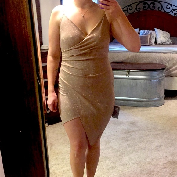 Bronze Le Chateau Dress - Picture 4 of 5